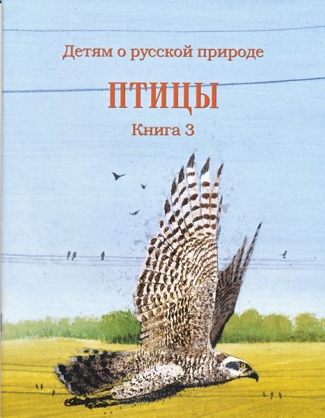 Птицы. Книга 3. Серия"Детям о русской природе"
